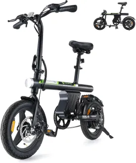 isinwheel ebike