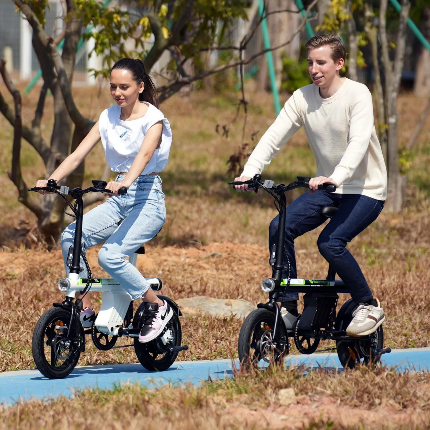 isinwheel ebike